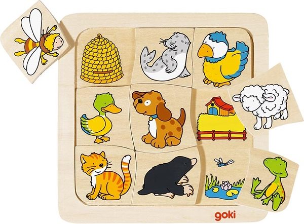 Goki Puzzle, Who Lives Where?